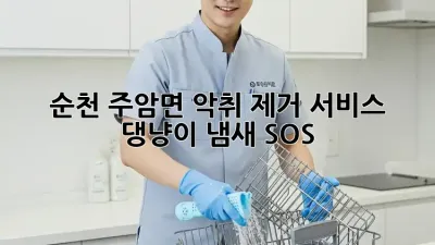 순천 주암면 악취 제거 서비스 🚨 댕냥이 냄새 SOS